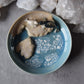 Harp Seals Trinket Plate (light)