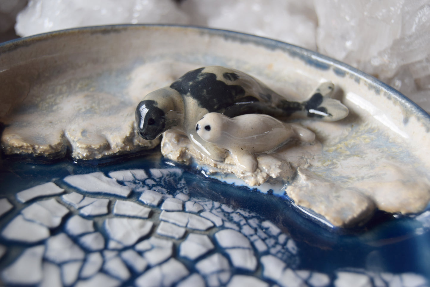 Harp Seals Trinket Plate (dark)