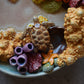Coral Reef Jewelry Dish (plate)