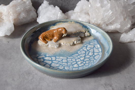 Walrus Trinket Plate (seconds)