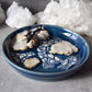 Gentoo Penguin Trinket Plate (dark)