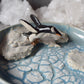 Gentoo Penguin Trinket Plate (light)