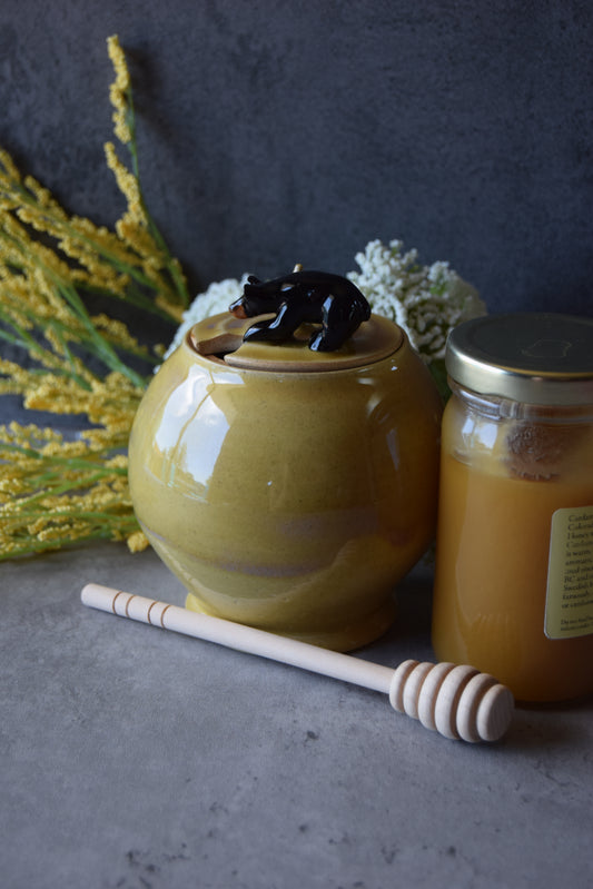Black Bear Honeypot
