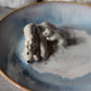 Polar Bears Trinket Plate
