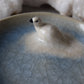 Ptarmigan Trinket Plate