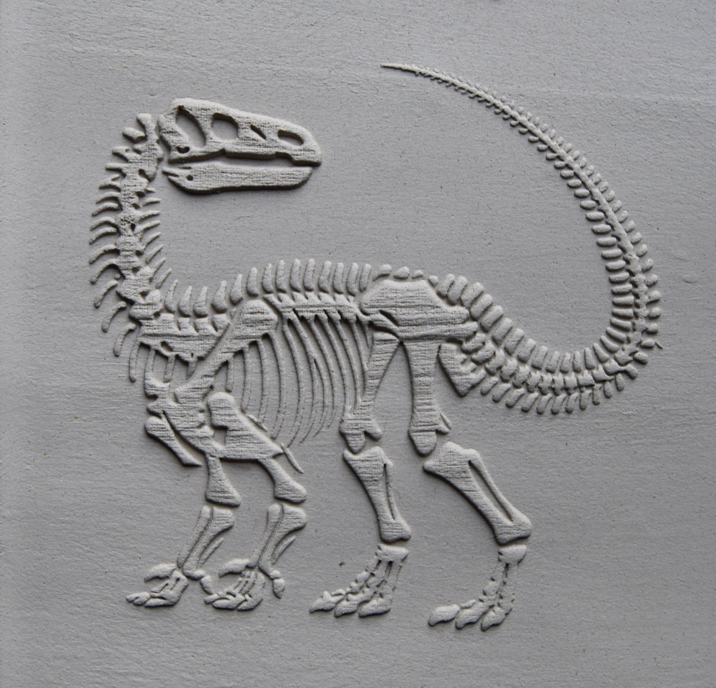 Z*Texture Roller- Iguanodon Fossil