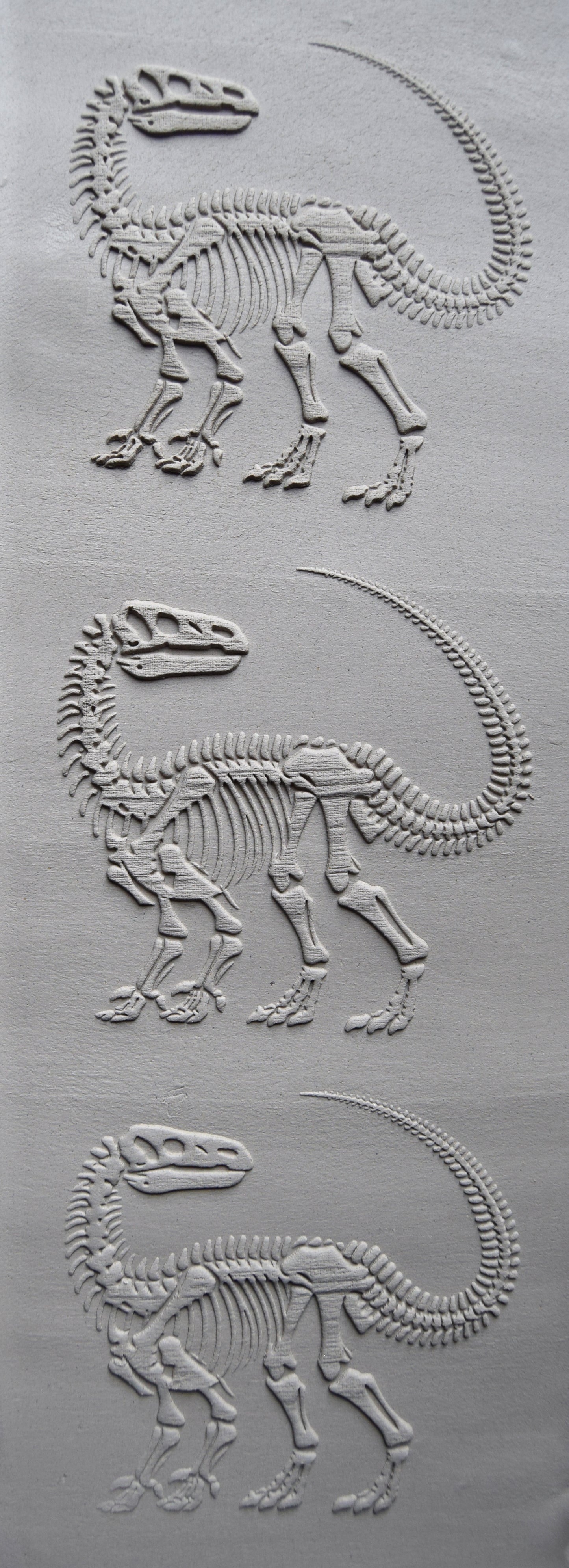 Z*Texture Roller- Iguanodon Fossil