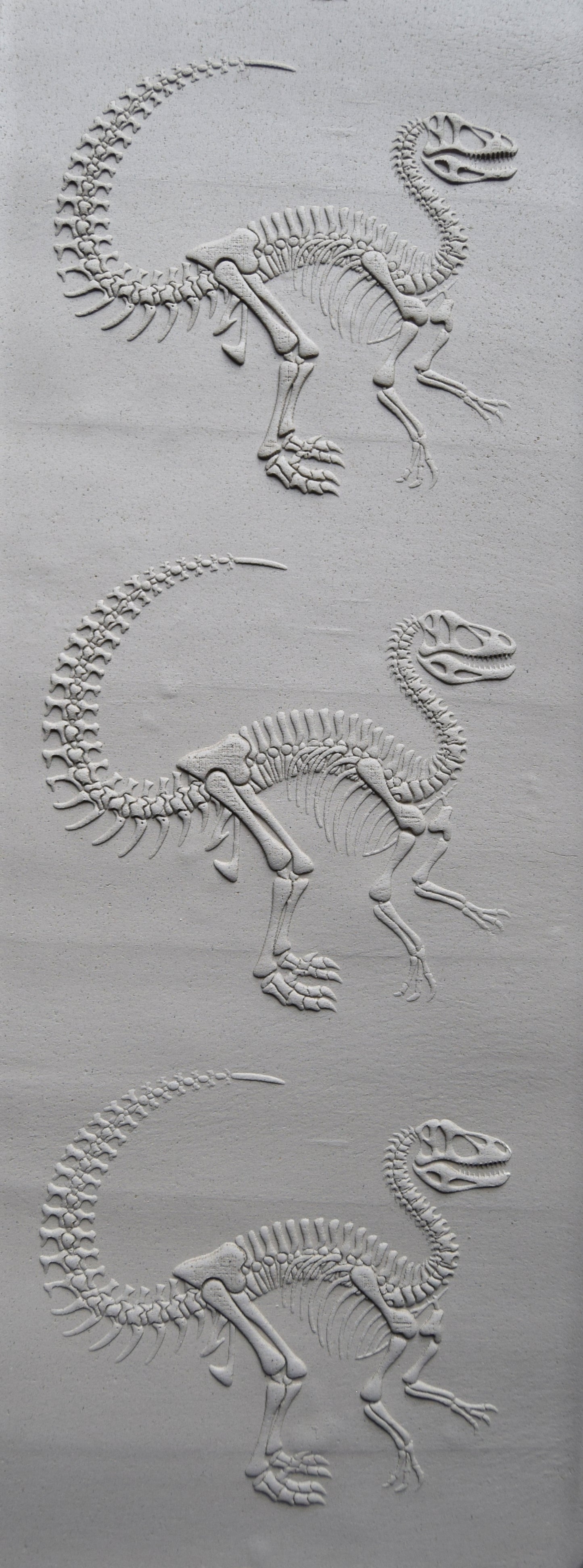 Z*Texture Roller- Hypsilophodon Fossil