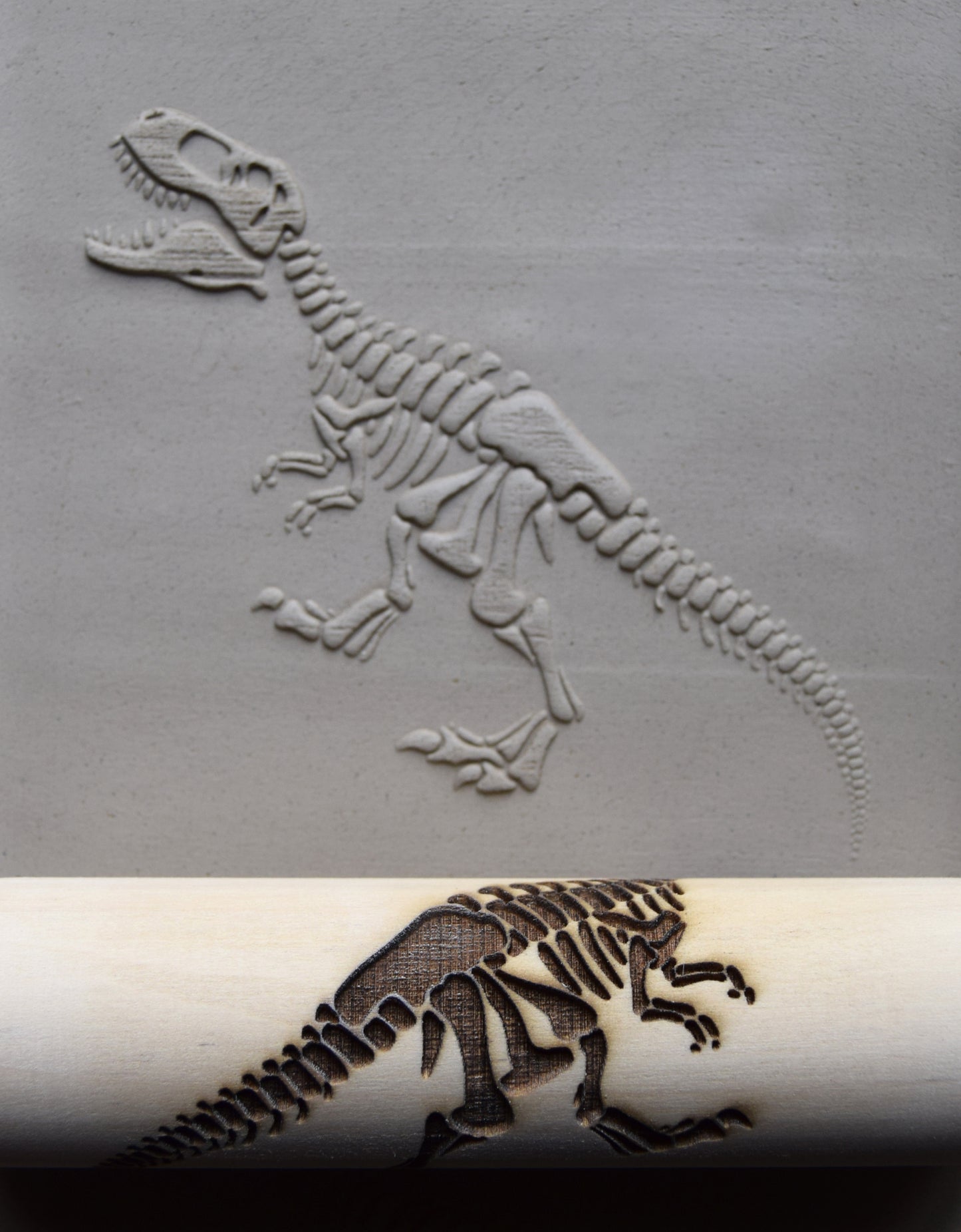 Z*Texture Roller- Tyrannosaurus Fossil