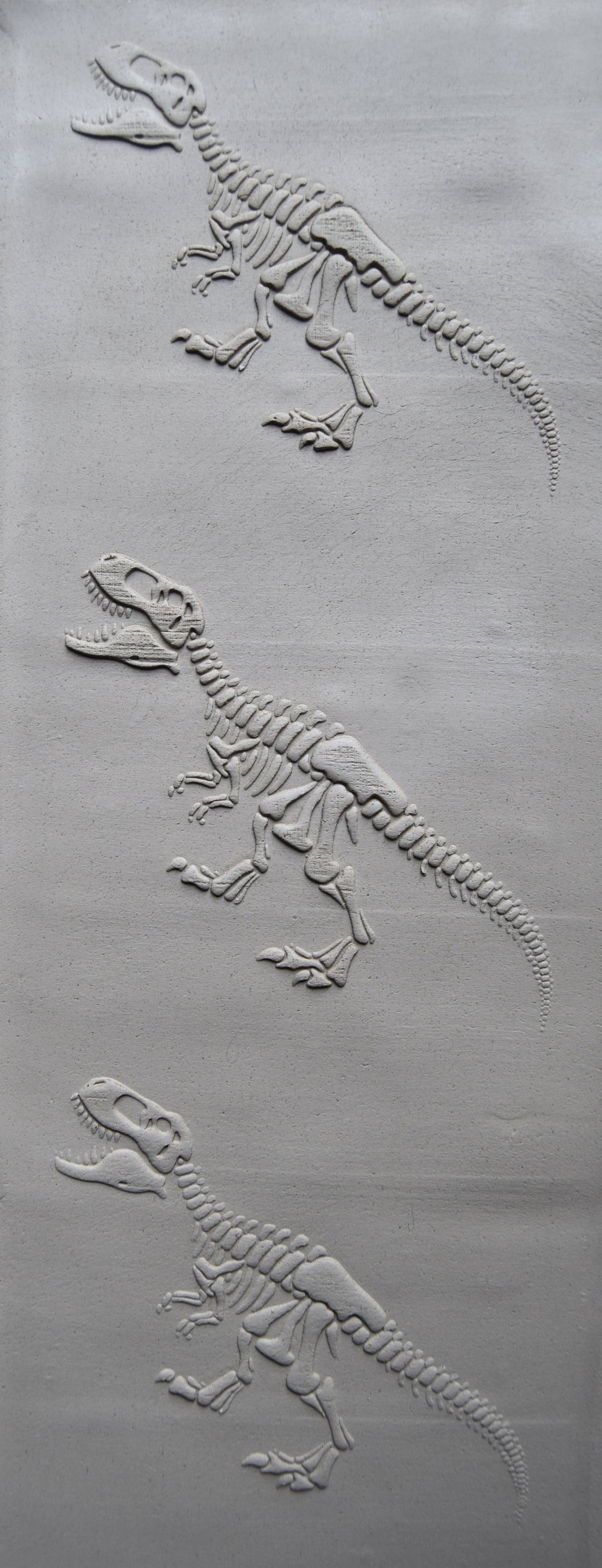 Z*Texture Roller- Tyrannosaurus Fossil