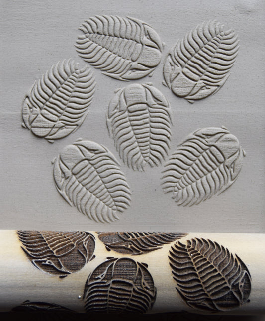 Z*Texture Roller- Trilobites (multi) Fossil