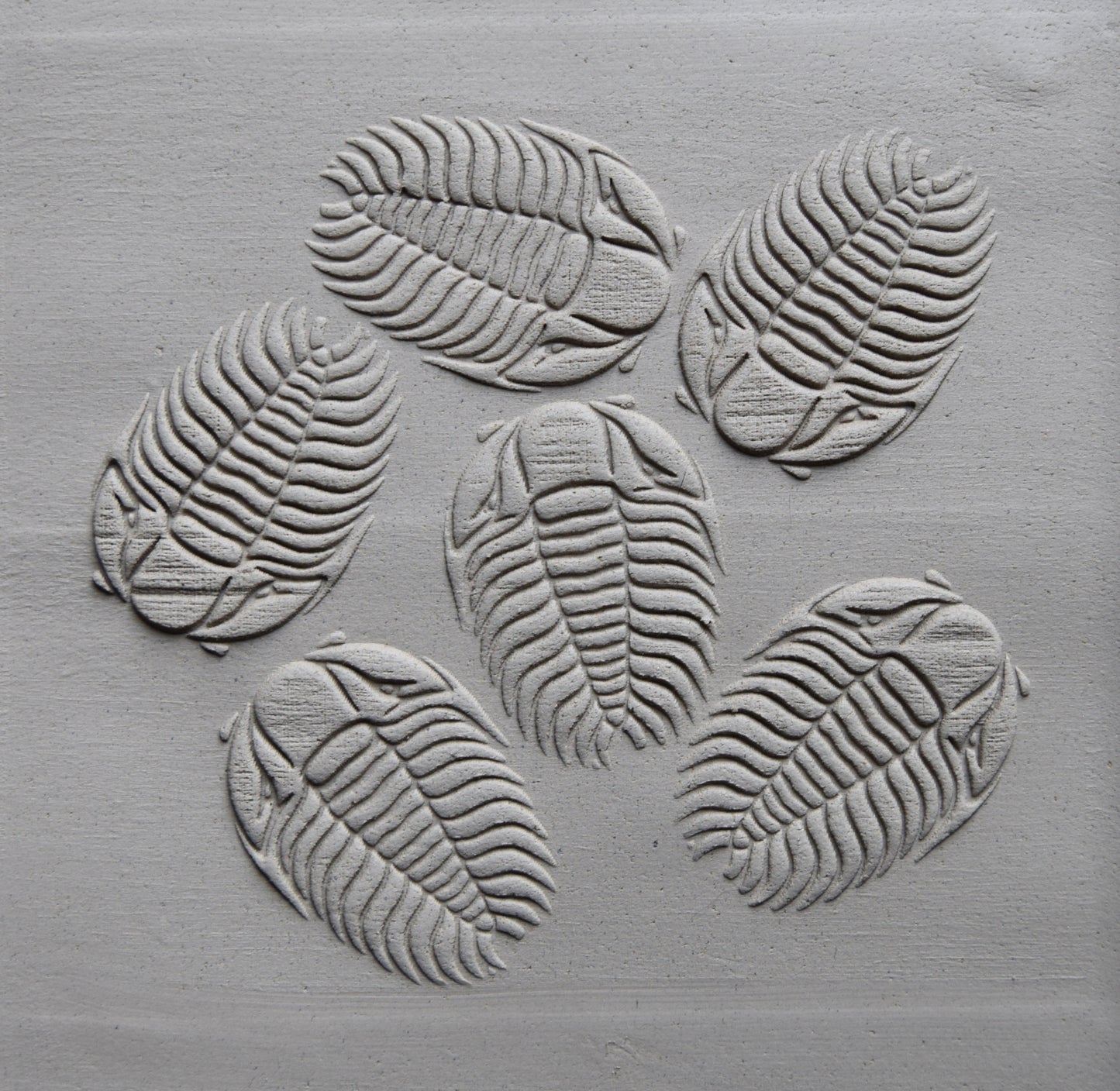 Z*Texture Roller- Trilobites (multi) Fossil