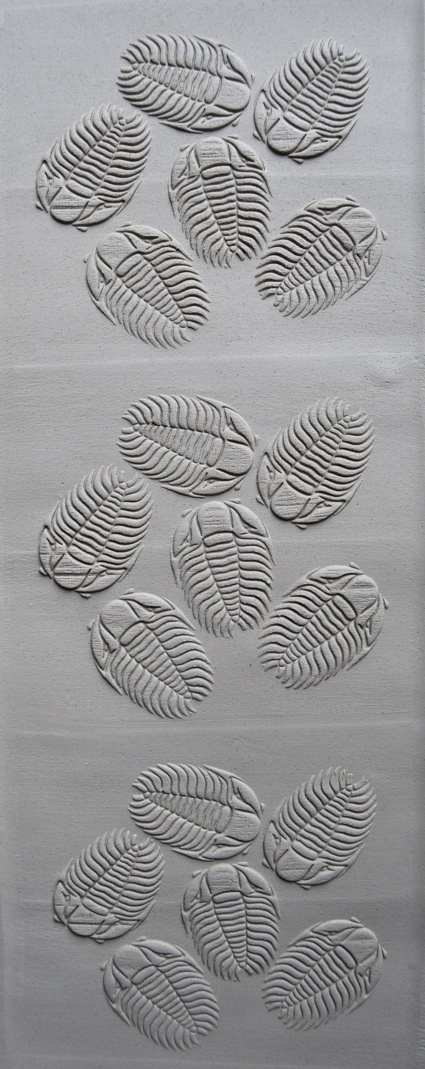 Z*Texture Roller- Trilobites (multi) Fossil