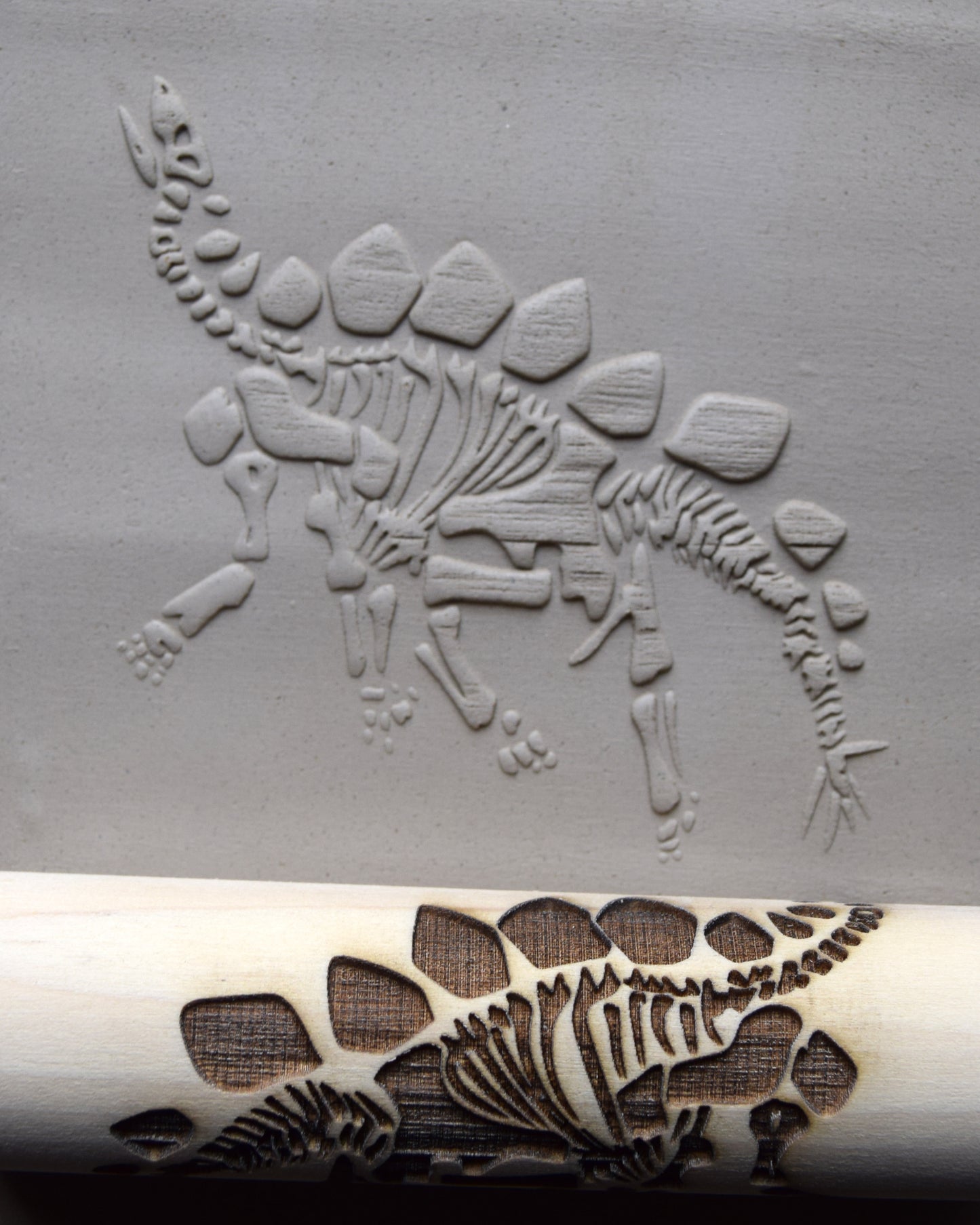 Z*Texture Roller- Stegosaurus Fossil (disarticulated)