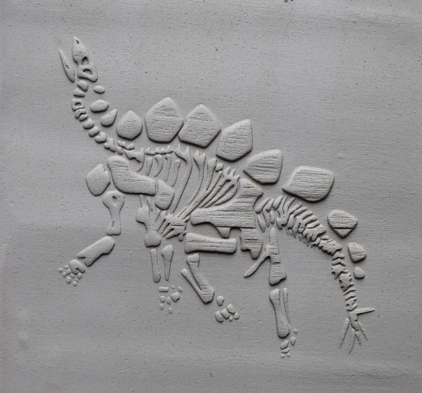 Z*Texture Roller- Stegosaurus Fossil (disarticulated)