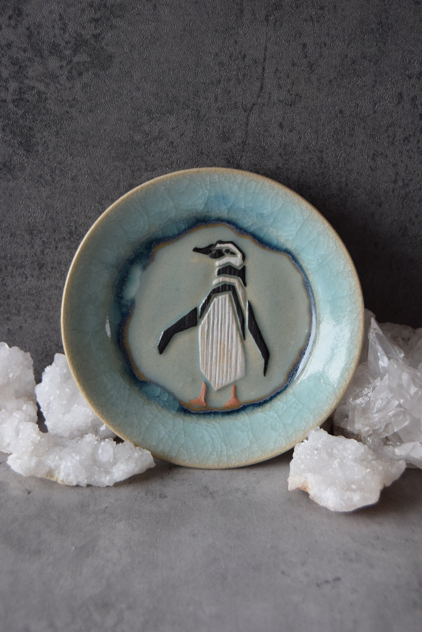 African Penguin Plate