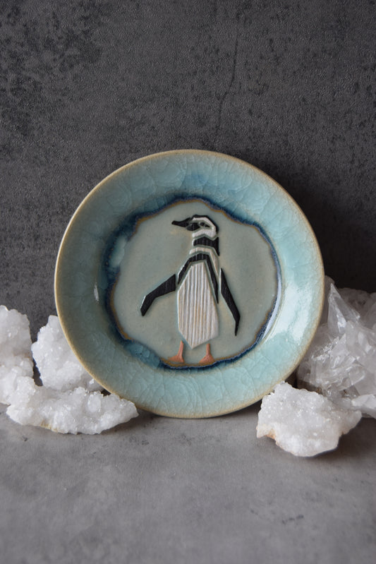 African Penguin Plate