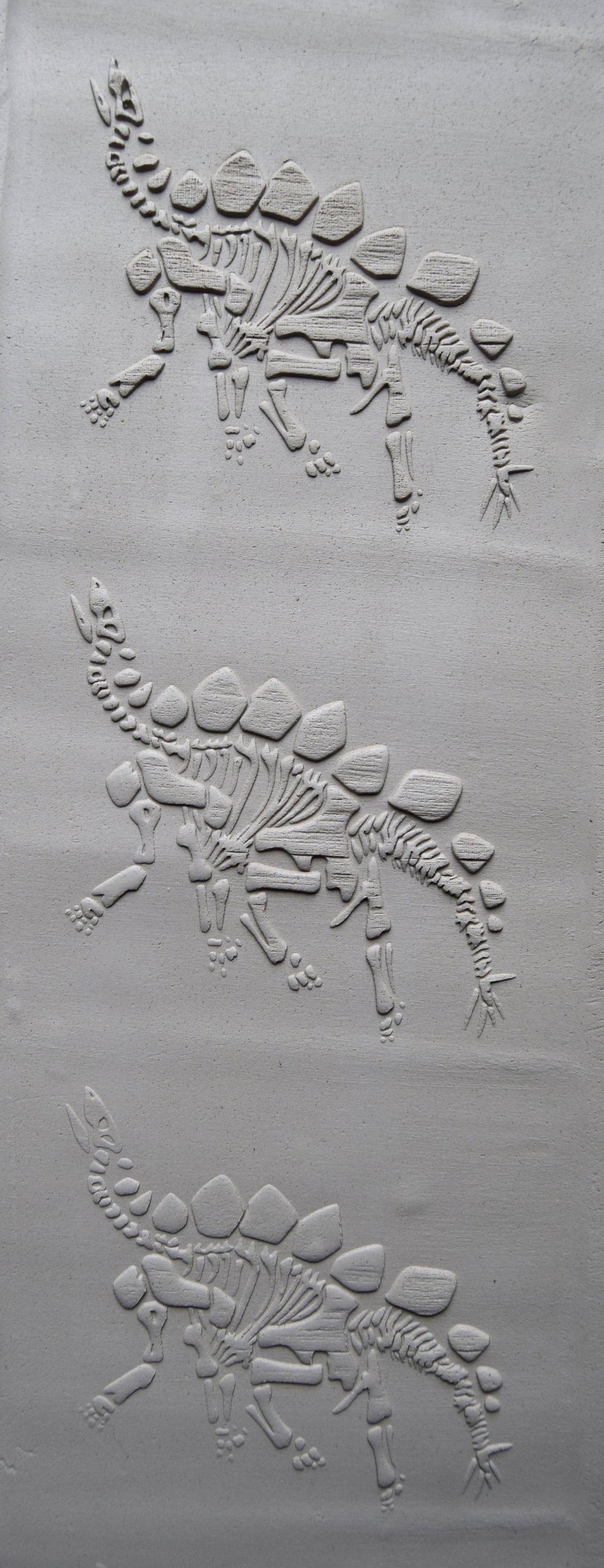 Z*Texture Roller- Stegosaurus Fossil (disarticulated)