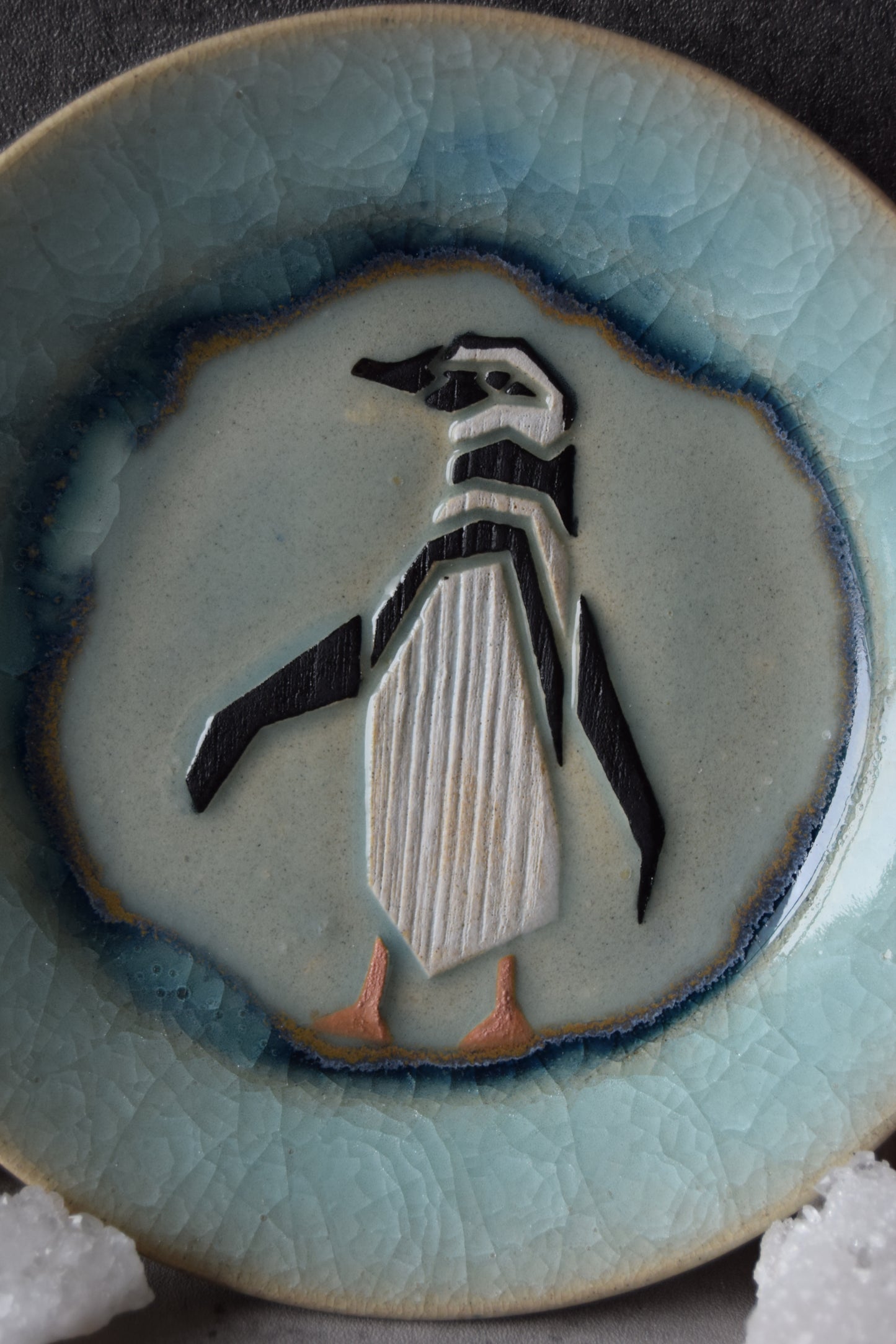 African Penguin Plate