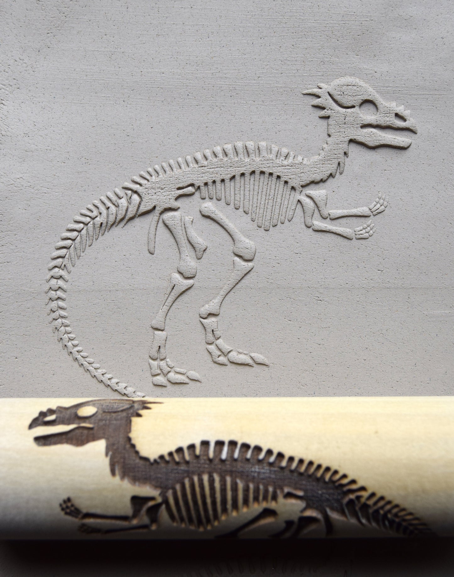 Z*Texture Roller- Pachycephalosaurus Fossil