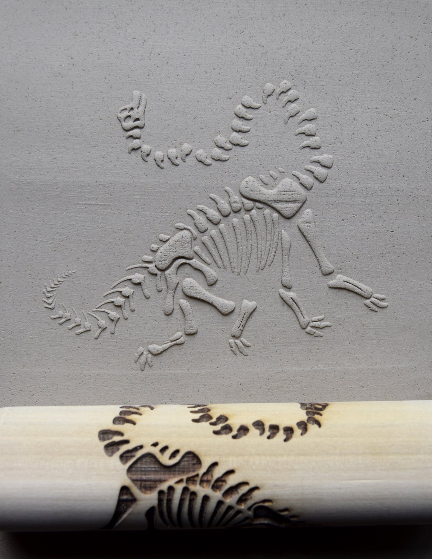 Z*Texture Roller- Brachiosaurus Fossil