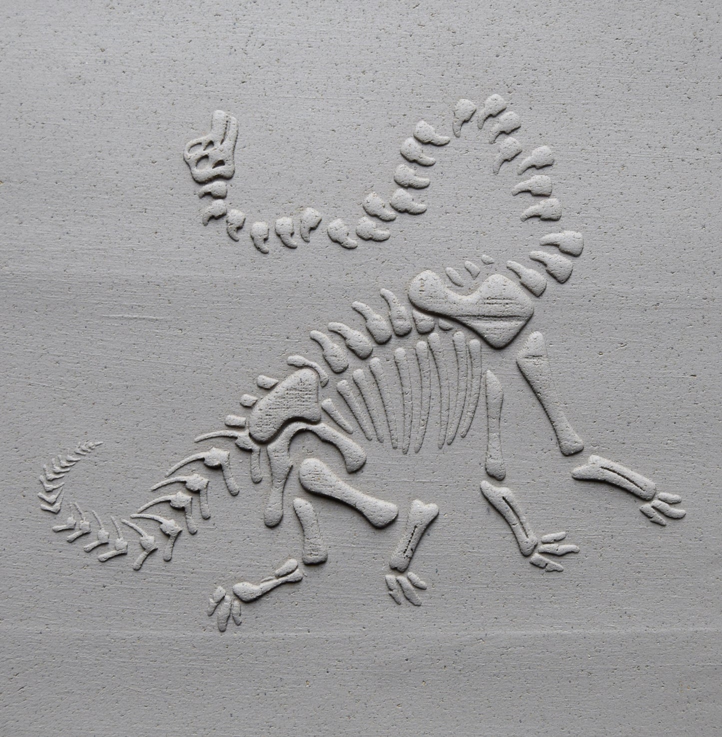 Z*Texture Roller- Brachiosaurus Fossil