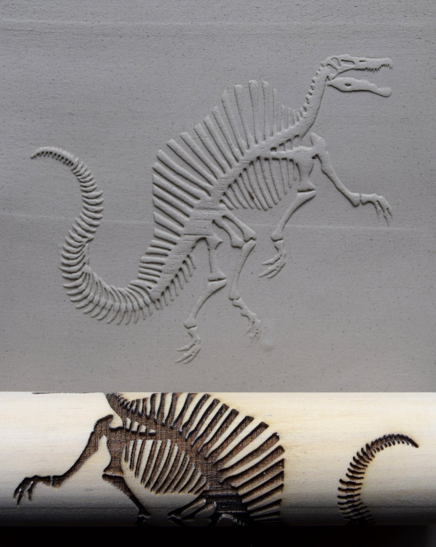 Z*Texture Roller- Spinosaurus Fossil