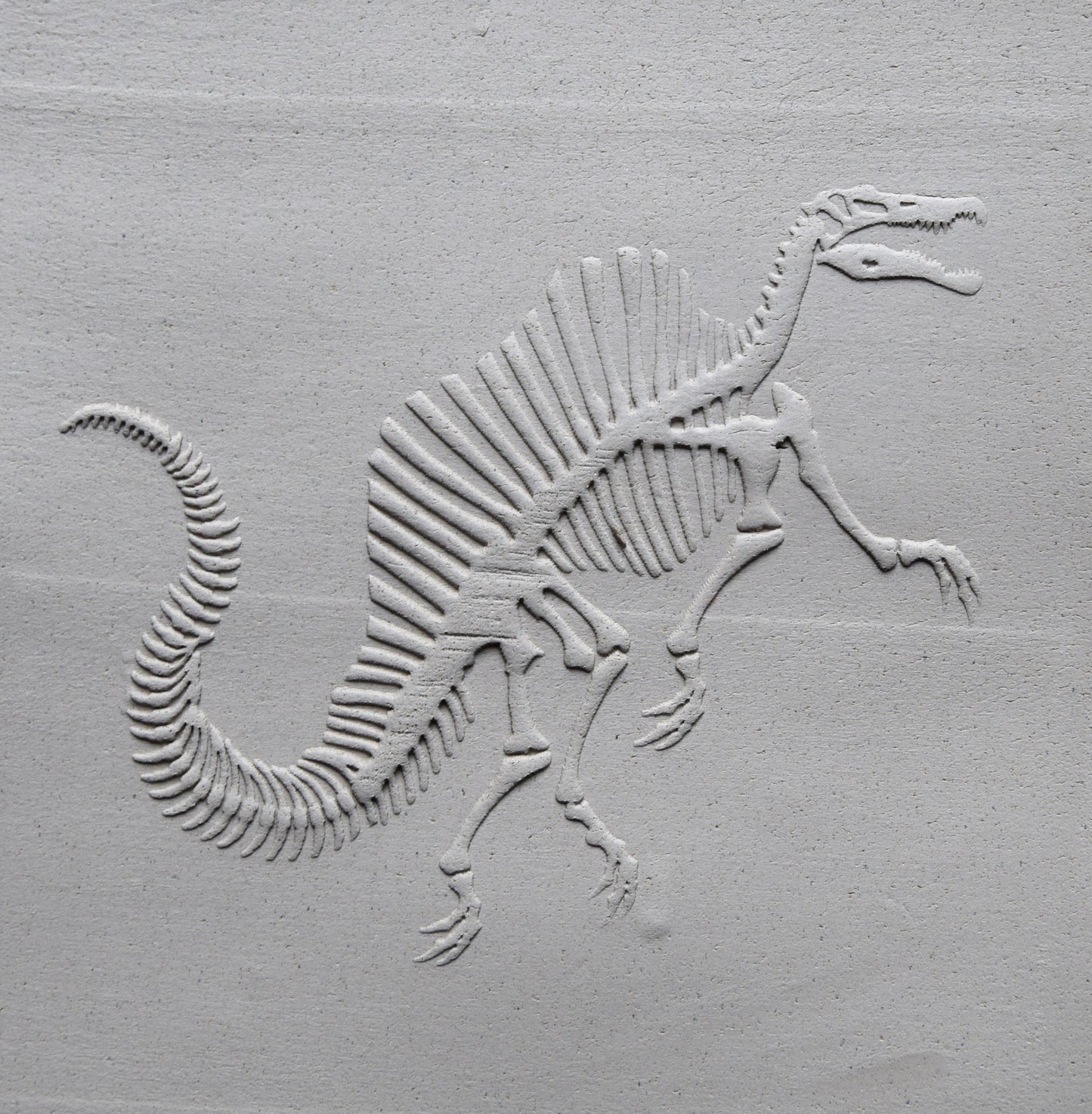 Z*Texture Roller- Spinosaurus Fossil