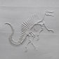 Z*Texture Roller- Spinosaurus Fossil
