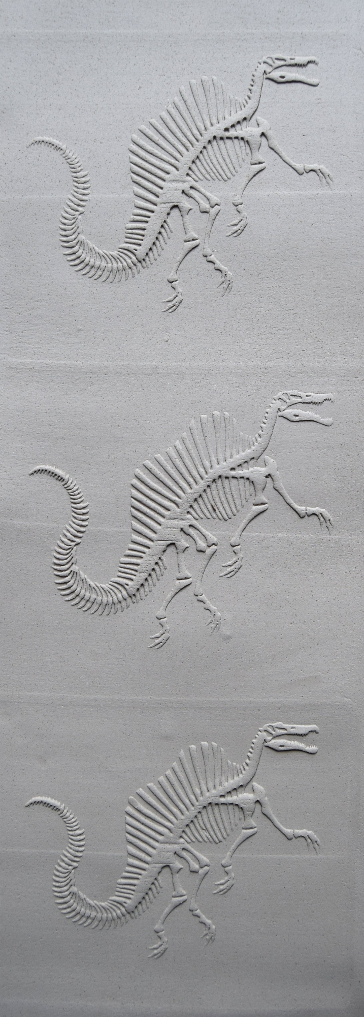 Z*Texture Roller- Spinosaurus Fossil