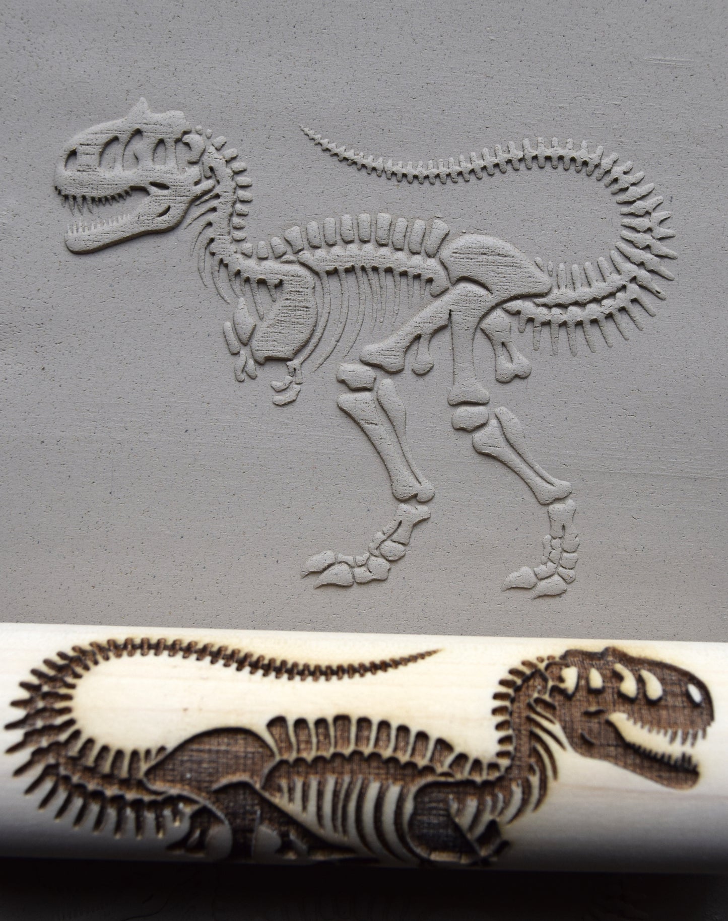 Z*Texture Roller- Carnotaurus Fossil