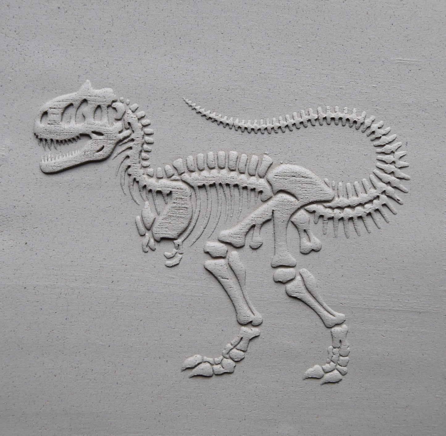 Z*Texture Roller- Carnotaurus Fossil