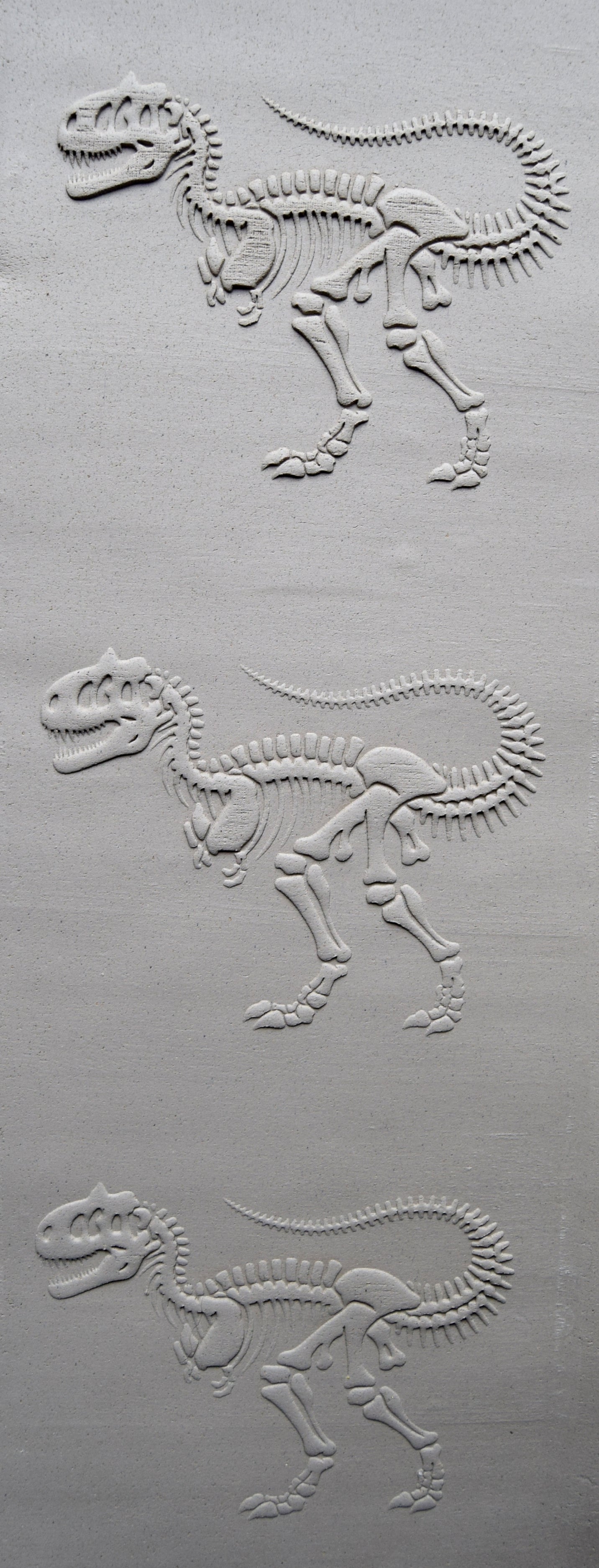 Z*Texture Roller- Carnotaurus Fossil