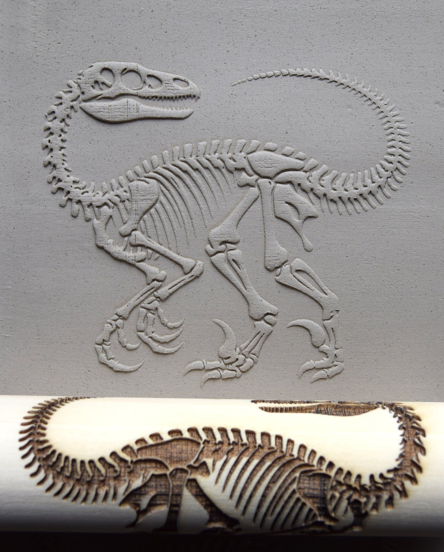 Z*Texture Roller- Deinonychus Fossil