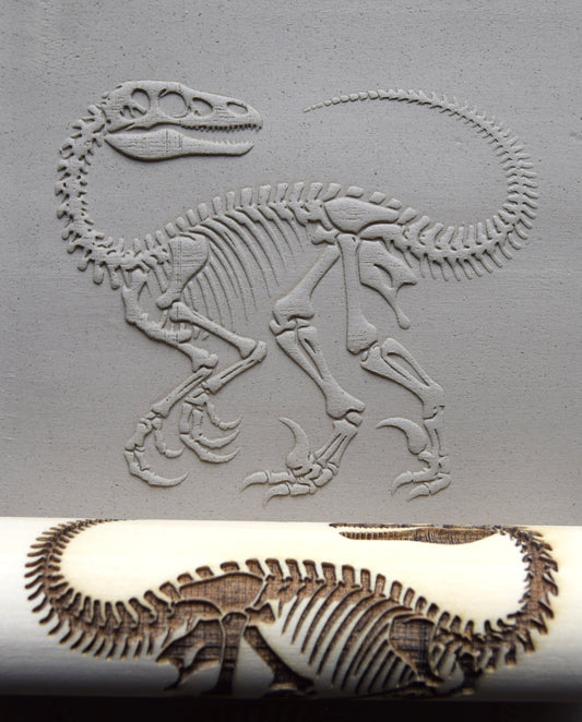 Z*Texture Roller- Deinonychus Fossil