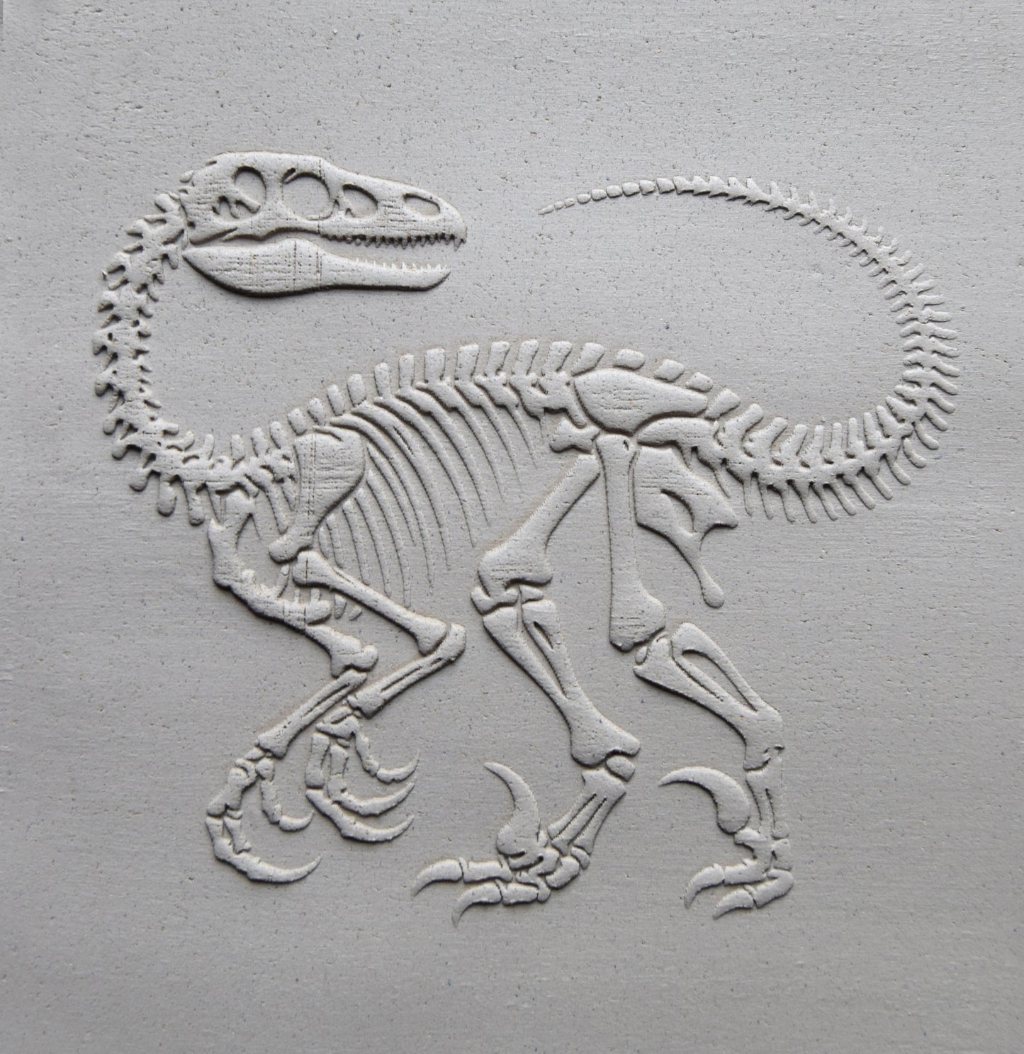 Z*Texture Roller- Deinonychus Fossil