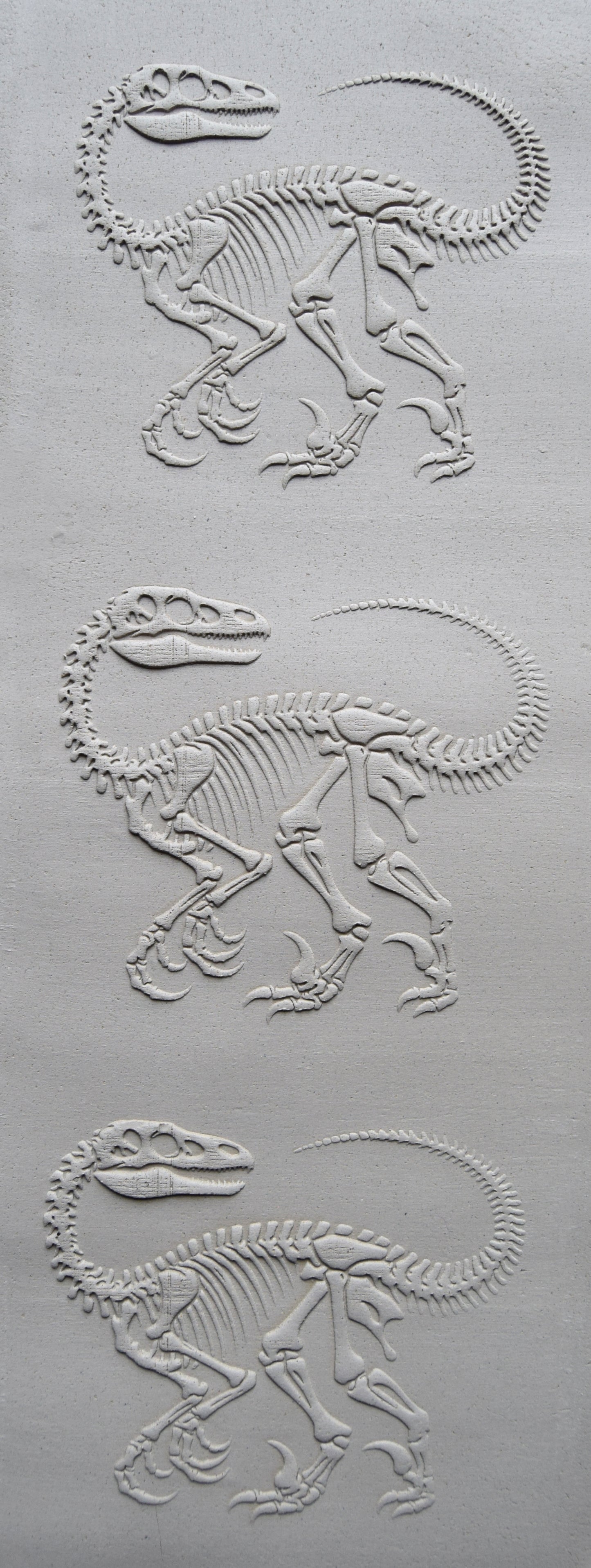 Z*Texture Roller- Deinonychus Fossil