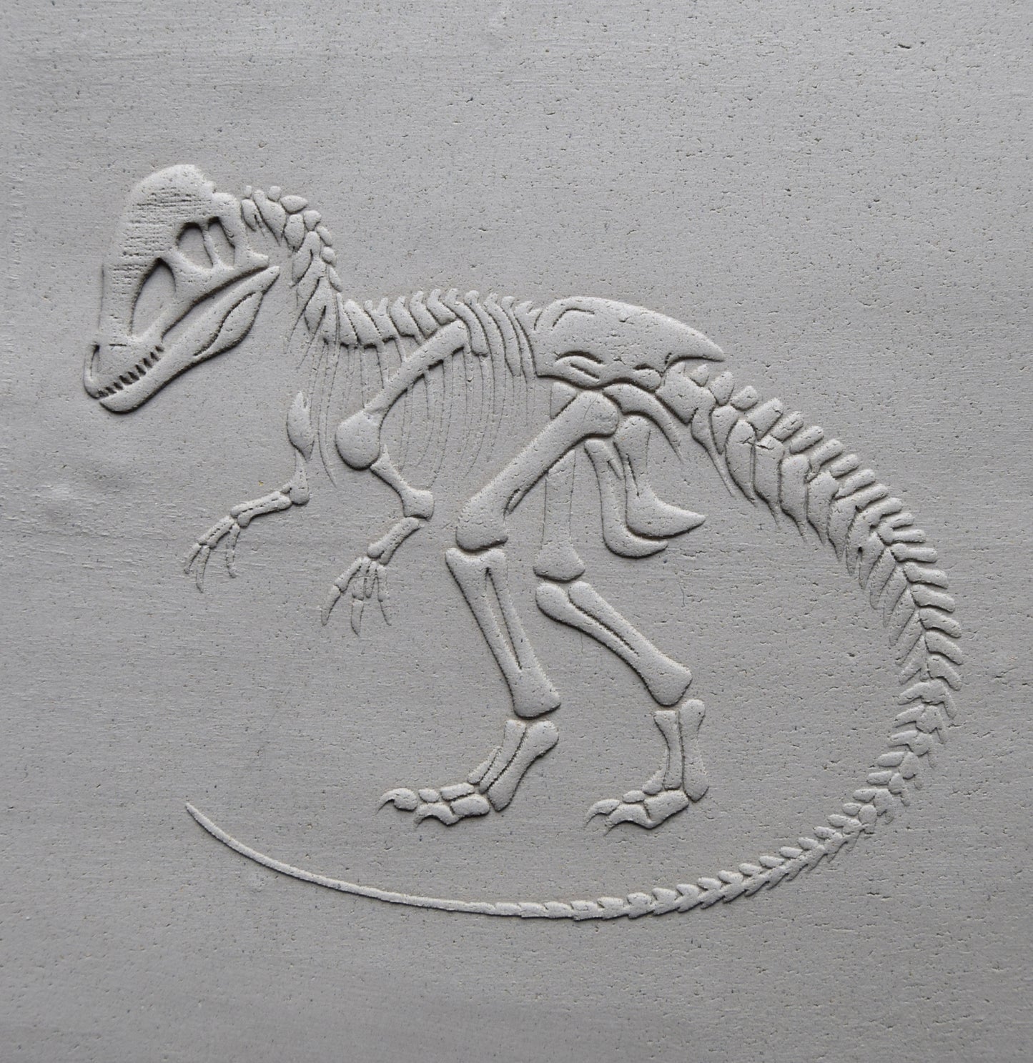 Z*Texture Roller- Dilophosaurus Fossil