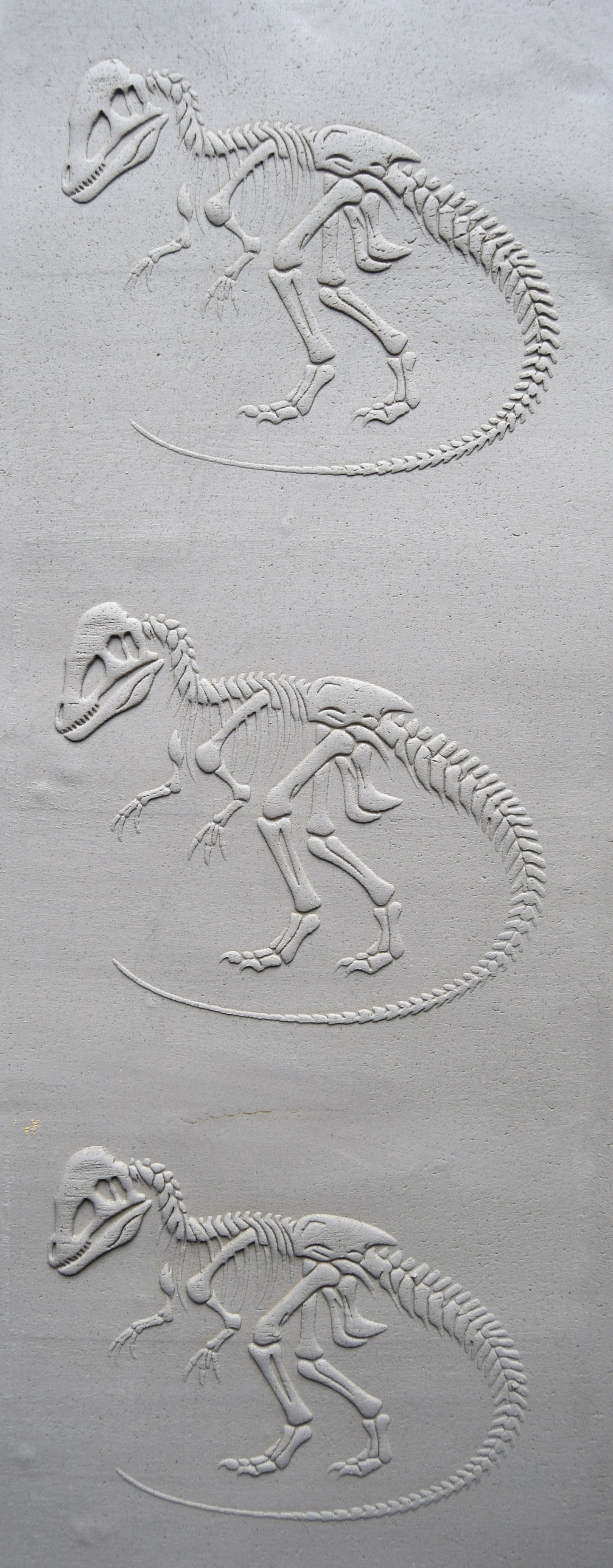 Z*Texture Roller- Dilophosaurus Fossil