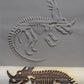 Z*Texture Roller- Styracosaurus Fossil