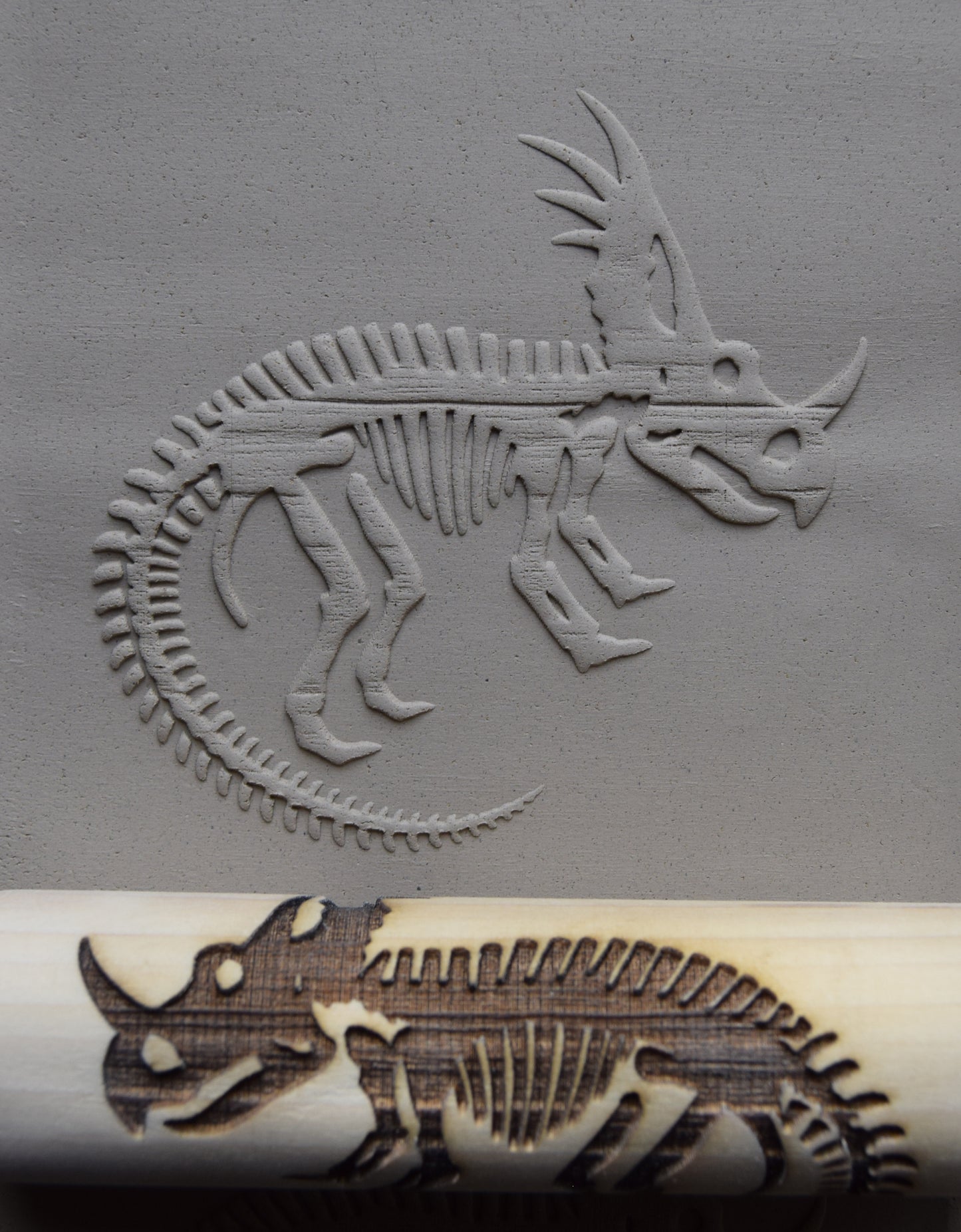 Z*Texture Roller- Styracosaurus Fossil