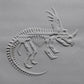 Z*Texture Roller- Styracosaurus Fossil