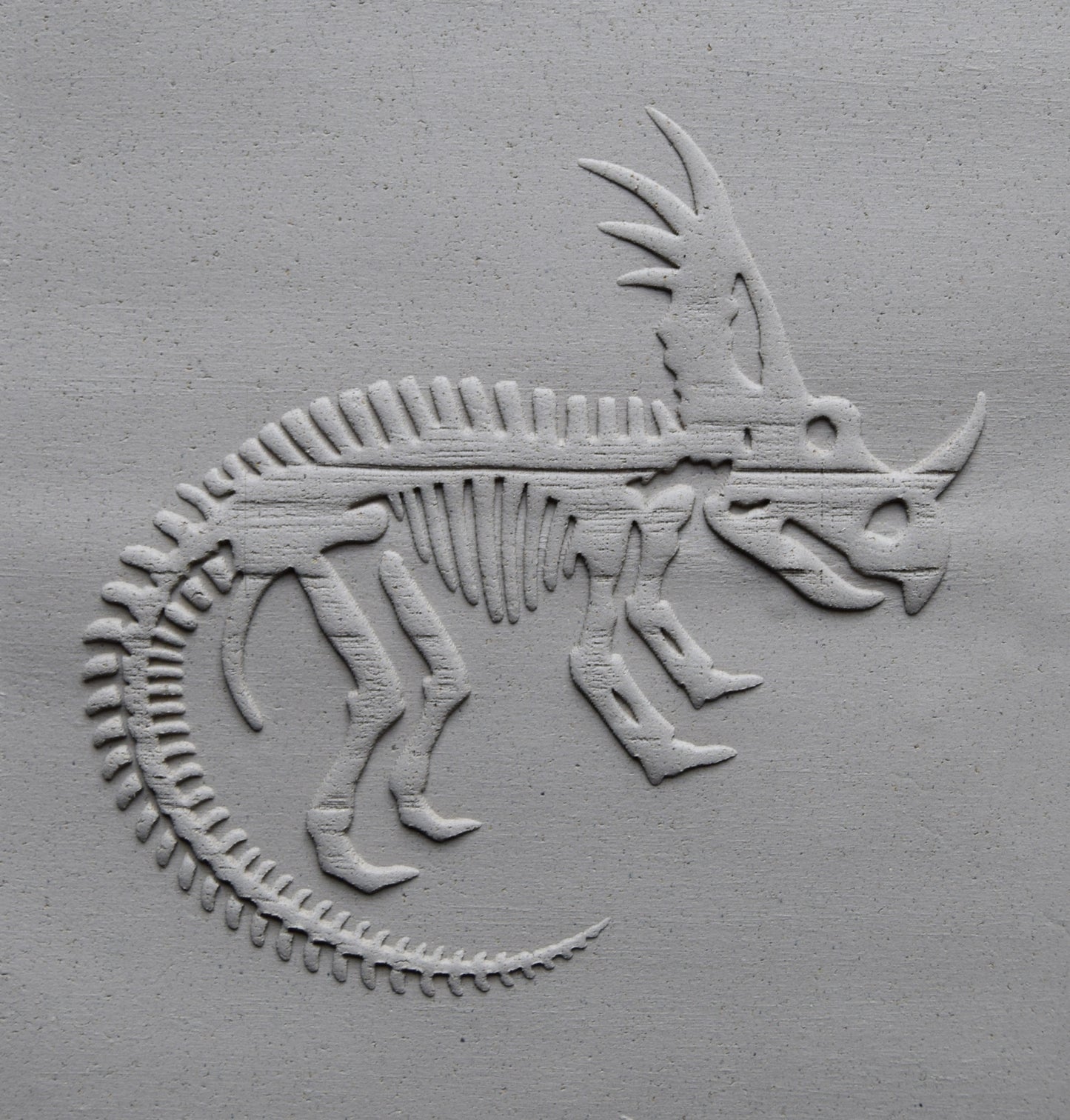 Z*Texture Roller- Styracosaurus Fossil