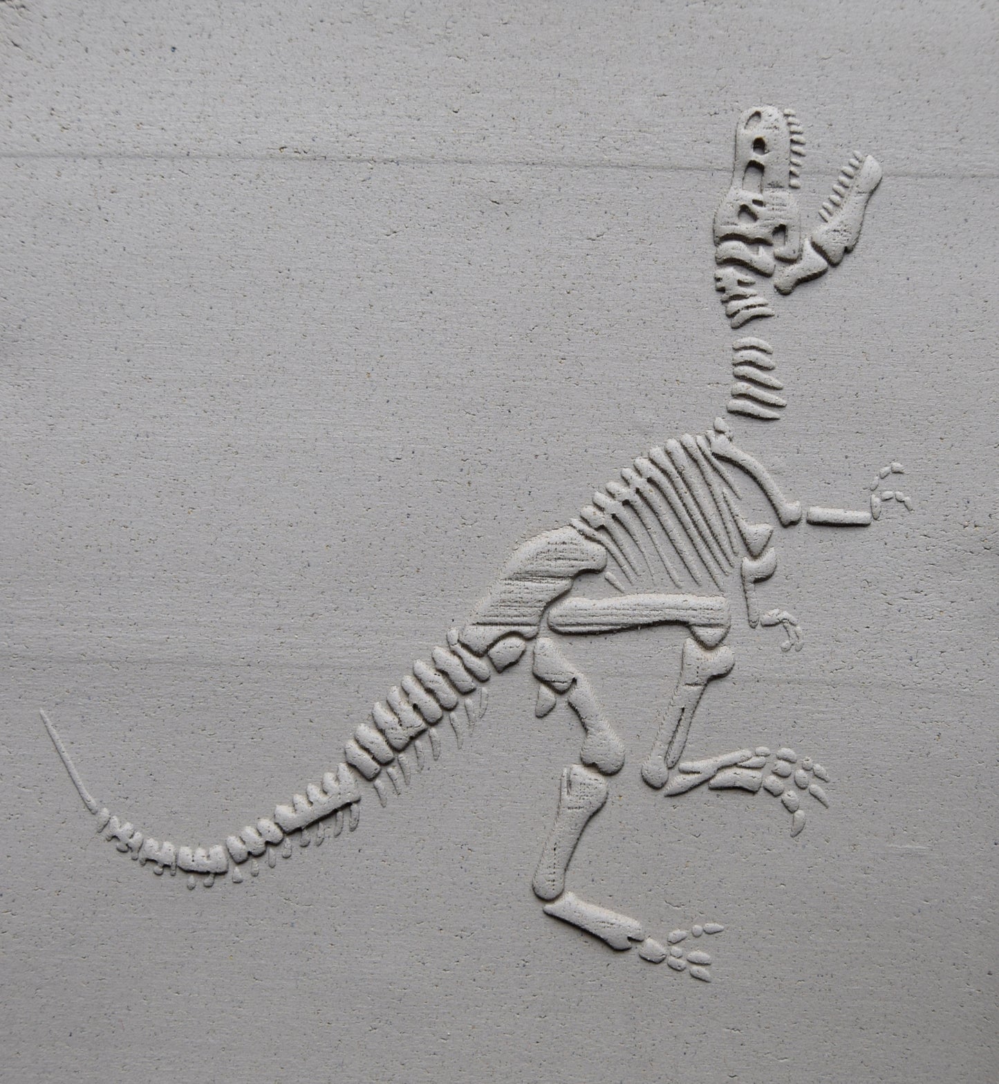 Z*Texture Roller- Tyrannosaurus Fossil (disarticulated)