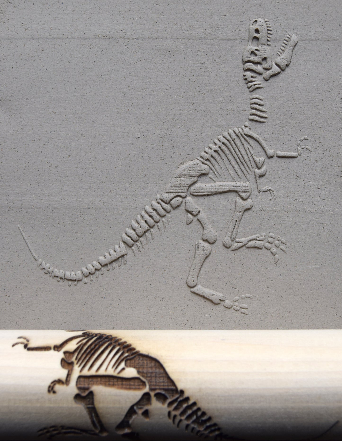 Z*Texture Roller- Tyrannosaurus Fossil (disarticulated)