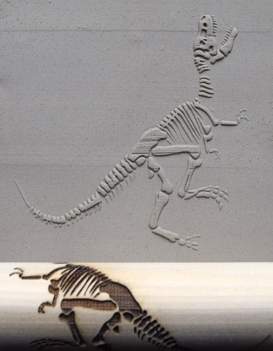 Z*Texture Roller- Tyrannosaurus Fossil (disarticulated)