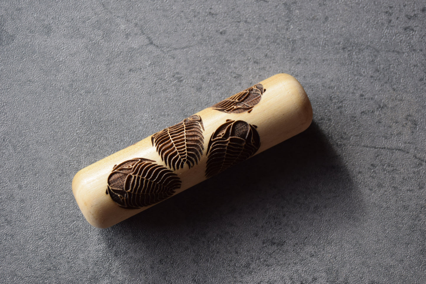 Z*Texture Roller- Trilobites (multi) Fossil