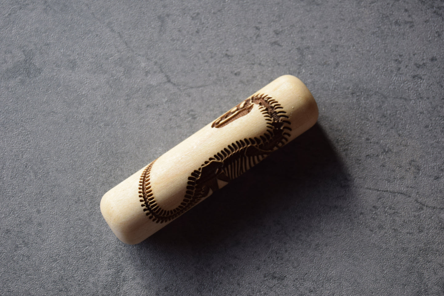 Z*Texture Roller- Iguanodon Fossil