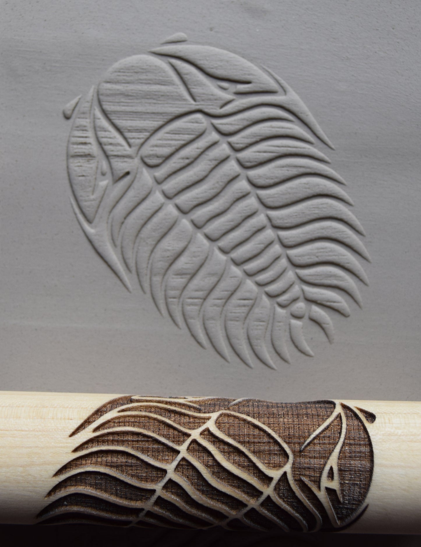 Z*Texture Roller- Trilobite (large) Fossil