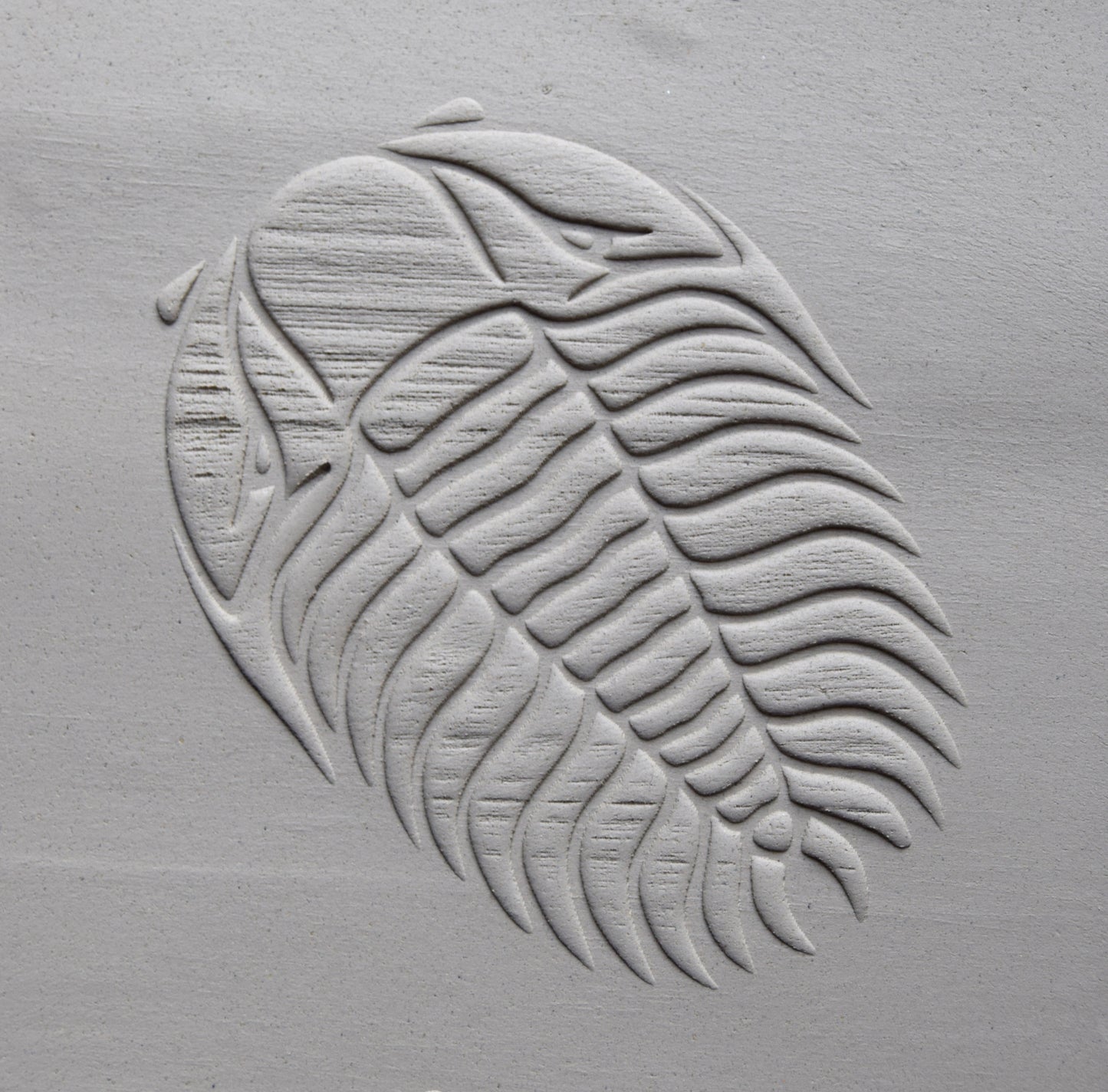 Z*Texture Roller- Trilobite (large) Fossil